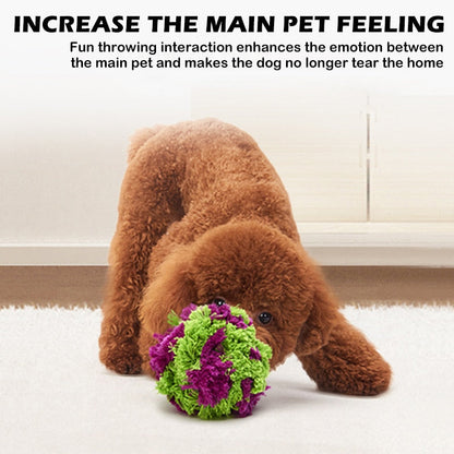 Interactive Dog Chewing Fun Toys