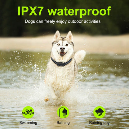 Premium 800M Rechargeable Dog Training Collar