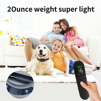 Premium 800M Rechargeable Dog Training Collar