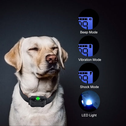 Premium 800M Rechargeable Dog Training Collar