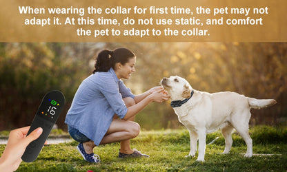 Premium 800M Rechargeable Dog Training Collar