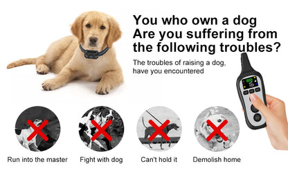 Premium 800M Voice Mode Dog Training Collar
