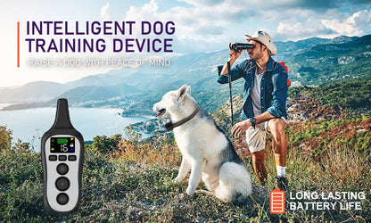 Premium 800M Voice Mode Dog Training Collar