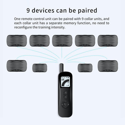 300m Rechargeable Dog Training Collar