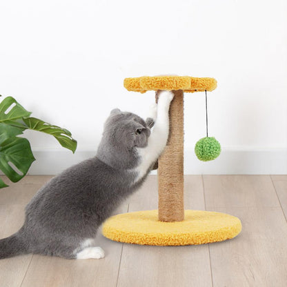 Cute Cats Scratching Post