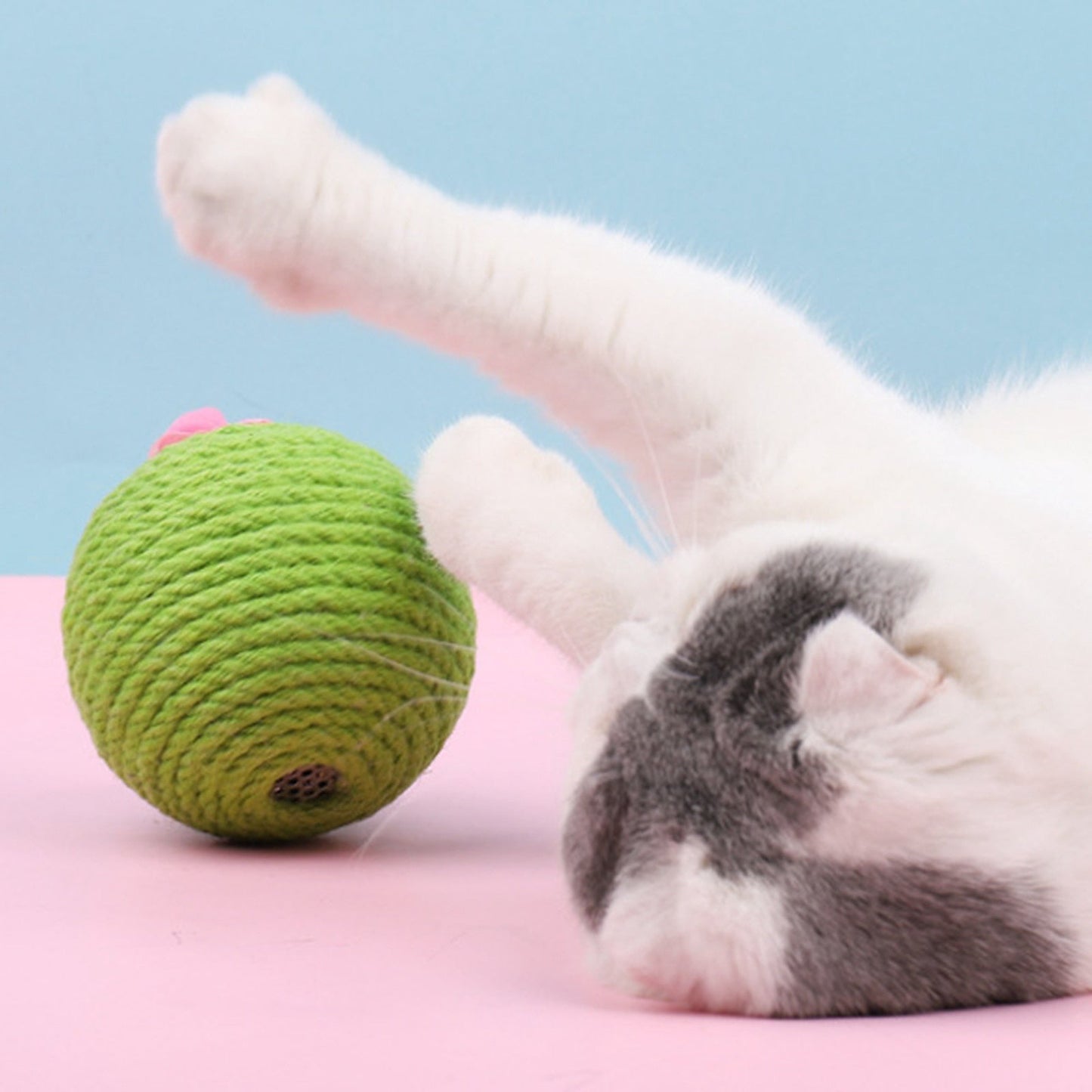 Cat Cactus Ball Tumbler Scratcher