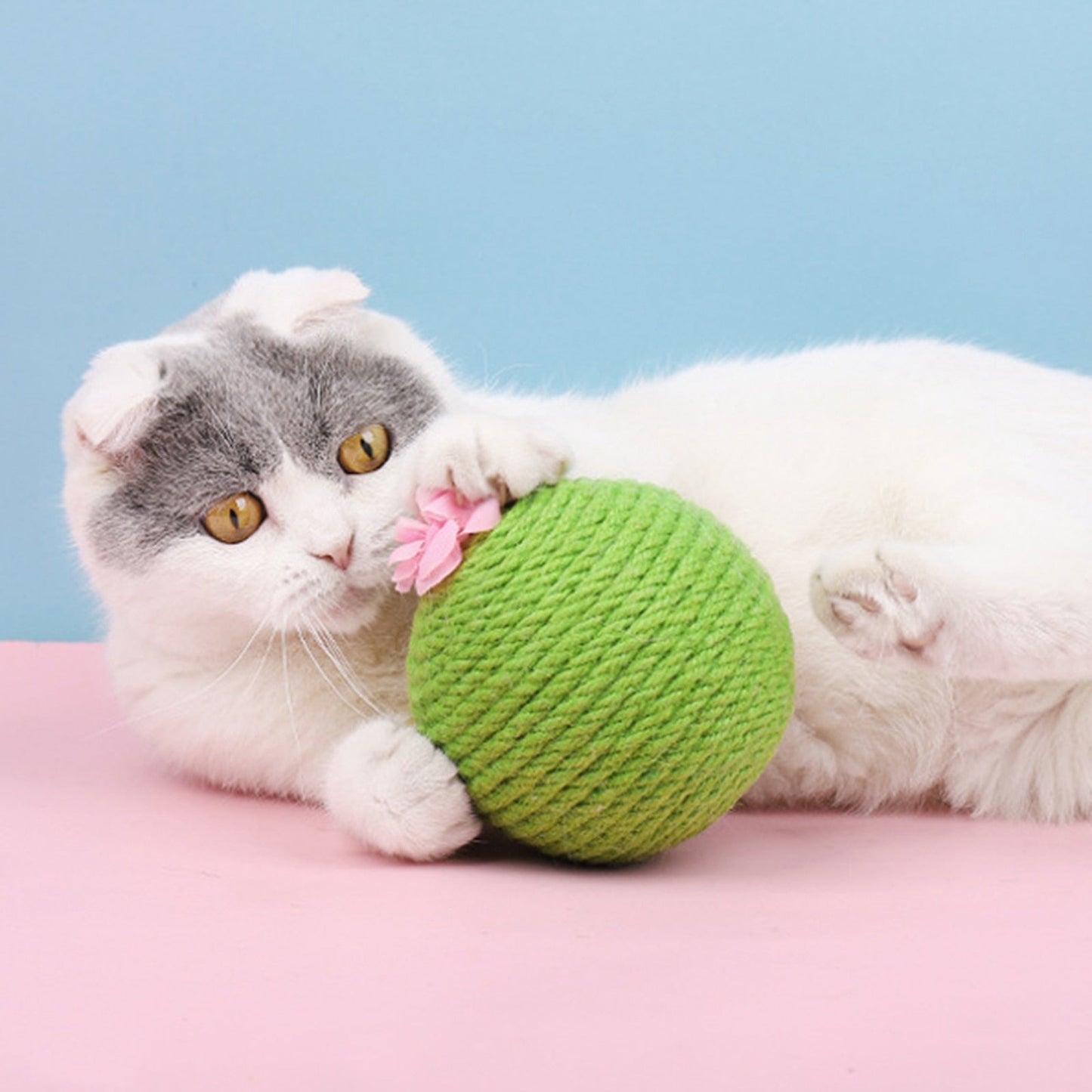 Cat Cactus Ball Tumbler Scratcher