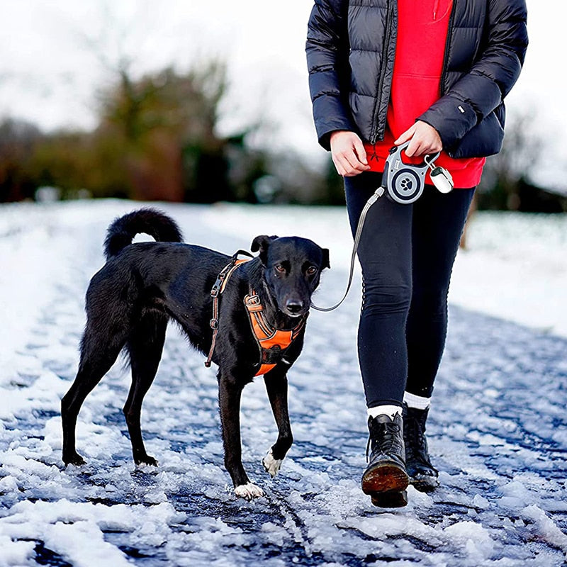 Eco Friendly Dog Poop Bag Dispenser