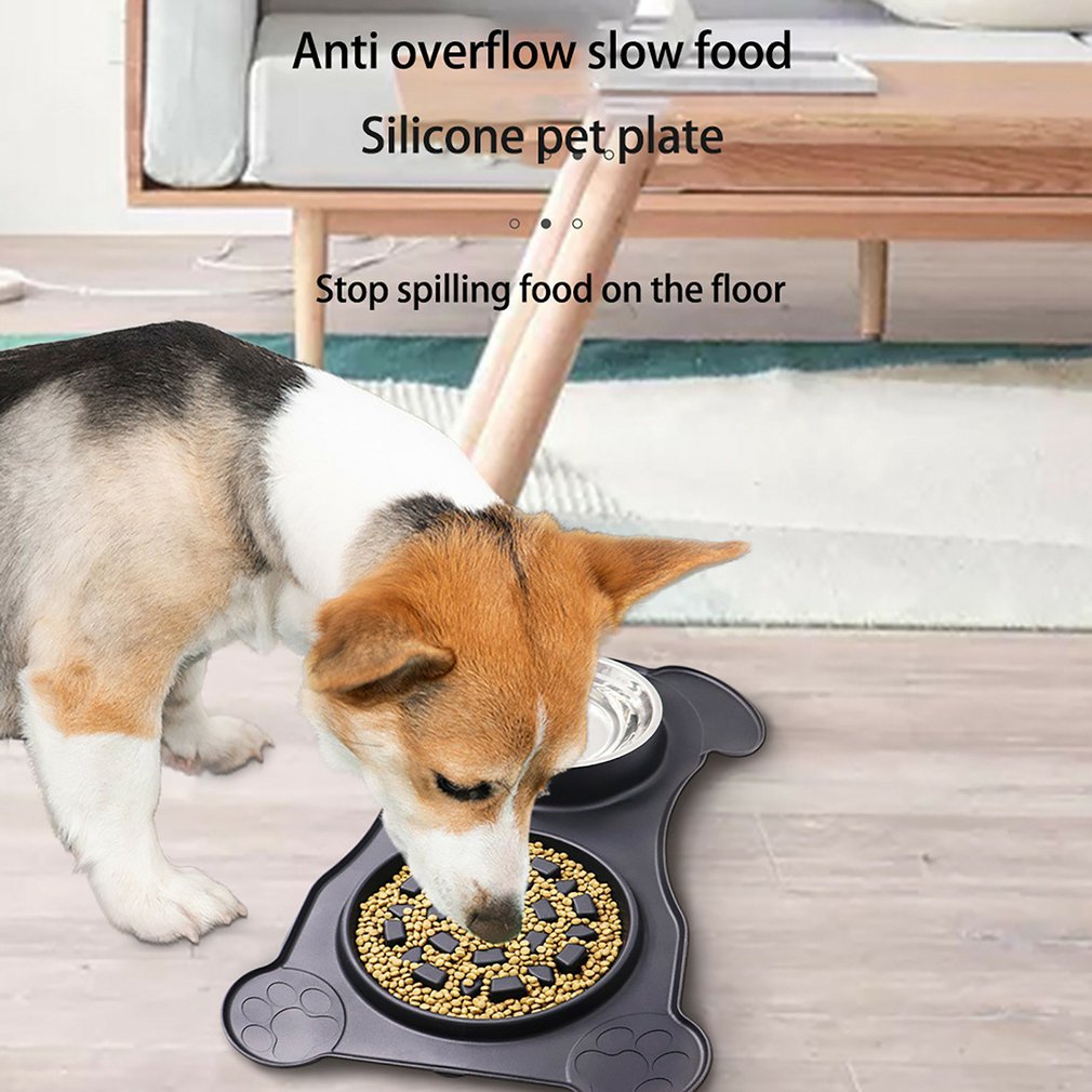 2 In 1 Slow Feeder Dog Bowl