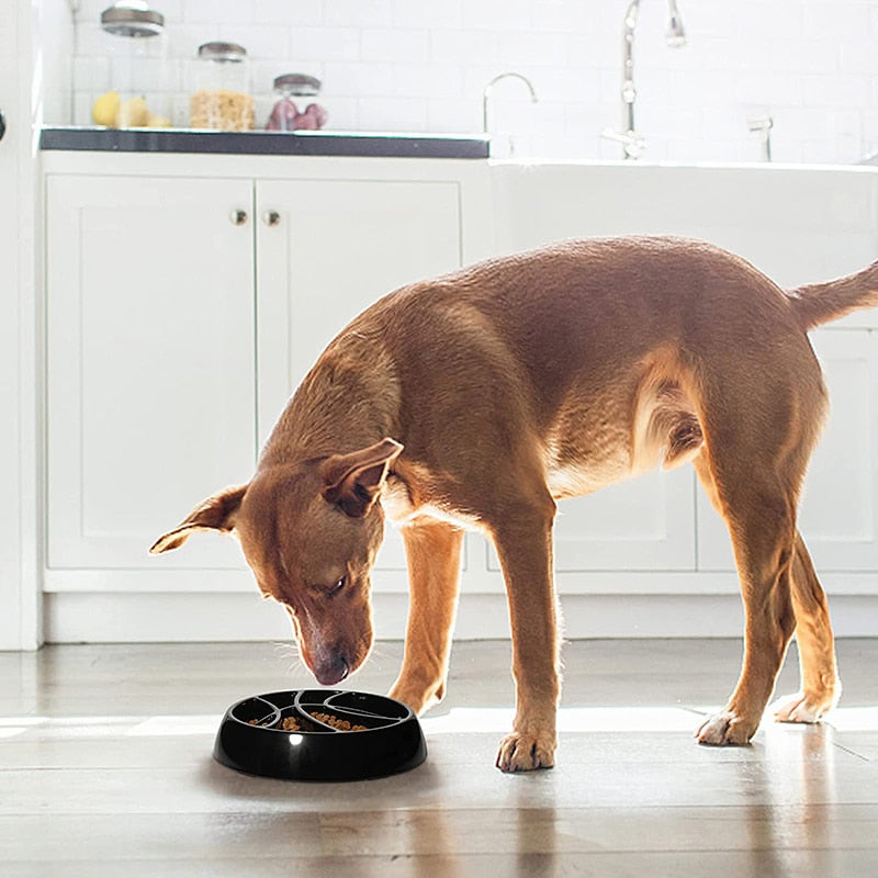 Interactive Slow Feeding Dog Bowl