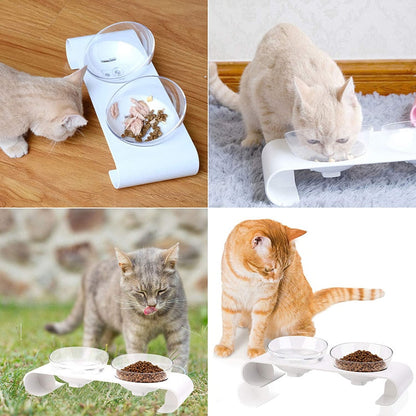 15° Tilted Raised Food Pet Bowl
