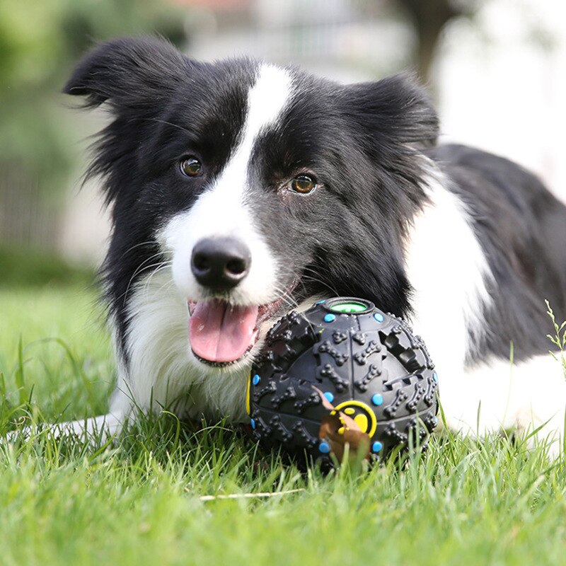 Extra Tough Dog Chewy Fun Ball