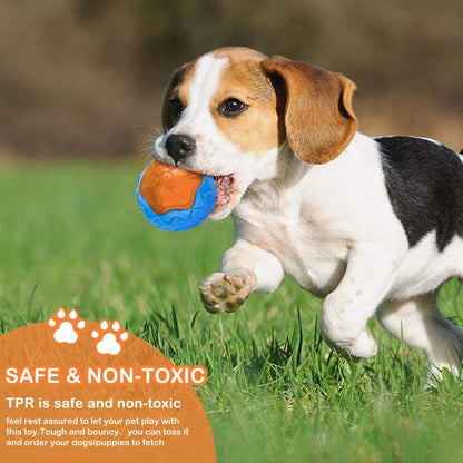 4PCS Dog Squeaky Chew Toys