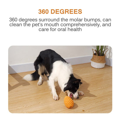 Interactive Pine Cone Dog Toys