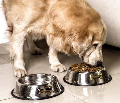 Stainless Steel Anti-Skid Dog Bowls