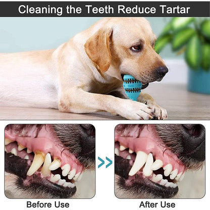 Sturdy Dog Toys For Aggressive Chewers