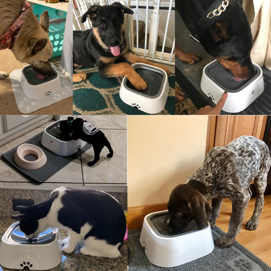 1.5L Floating Dog Drinking Water Bowl
