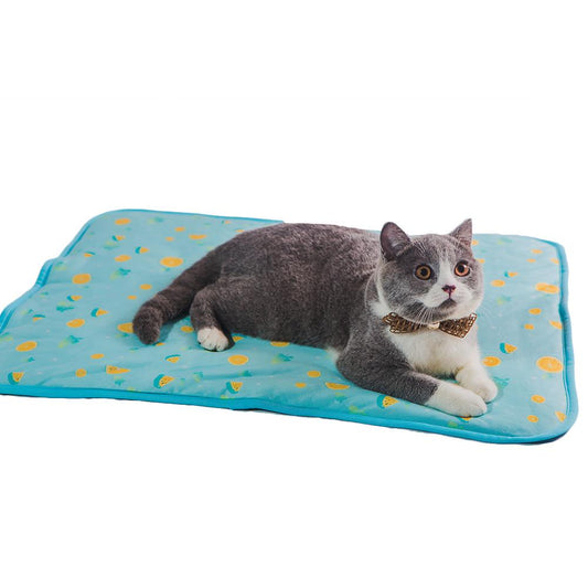 Dog Cooling Ice Silk Mat
