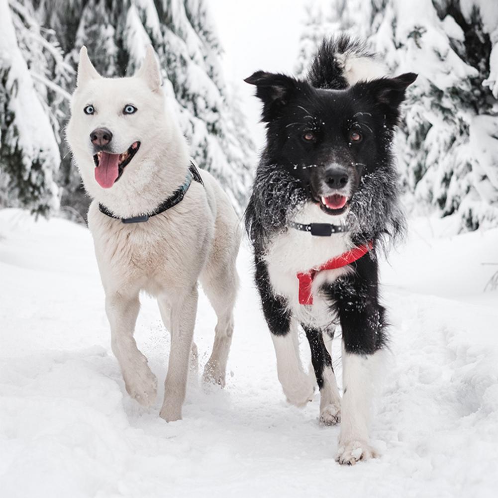 Dog GPS Tracker Anti Lost Locator