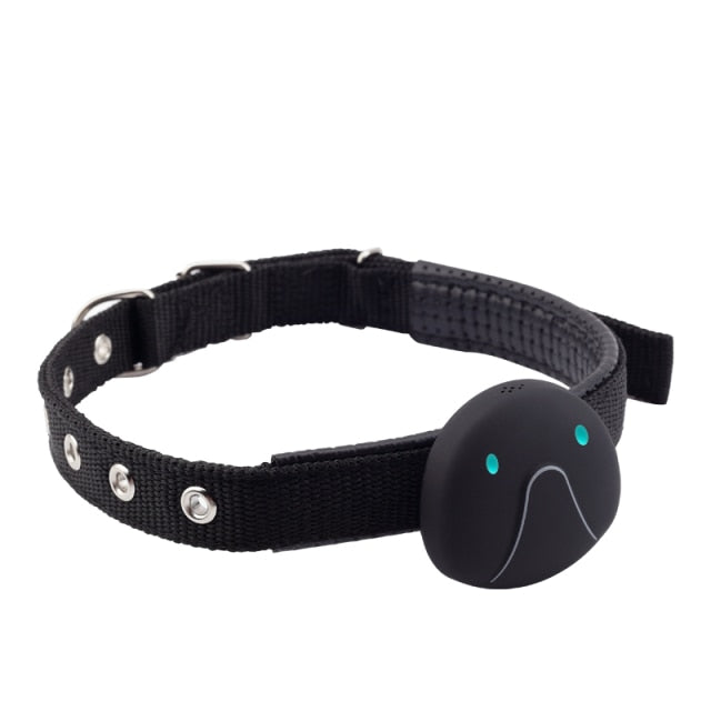 Anti Lost Dog GPS Tracker