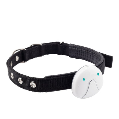 Anti Lost Dog GPS Tracker