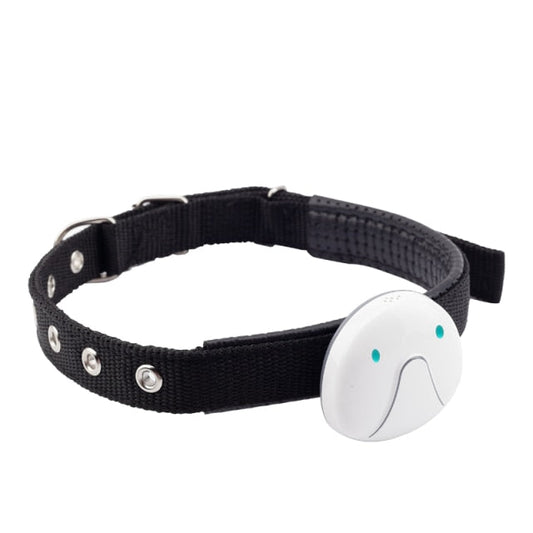 Anti Lost Dog GPS Tracker