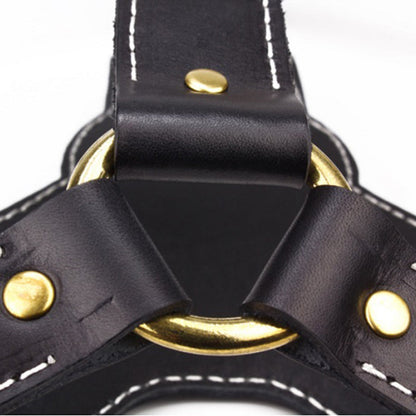 Luxury Dog Leather Chest Harness