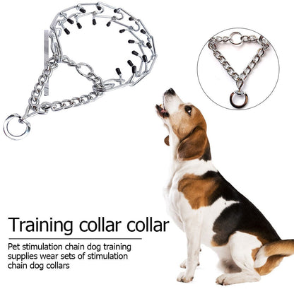 Effective Prong Dog Training Collar