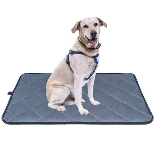 All Seasons Bite Resistant Dog Mat