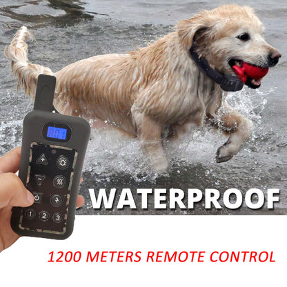 Premium Electric Wired Fence System Dog Collar