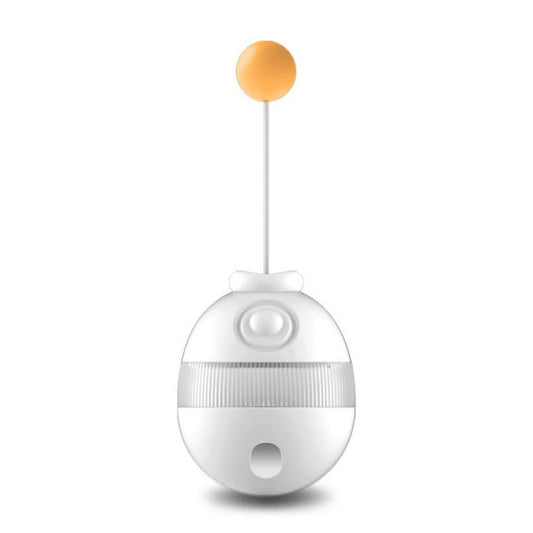 Creative Leaking Food Pets Toys