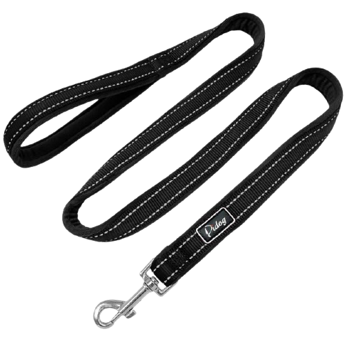 Soft Nylon Padded Dog Leash